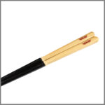 sp-hashilogo-20e