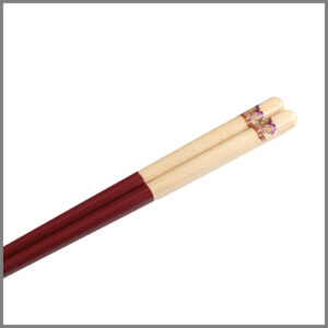 sp-hashipet-20e