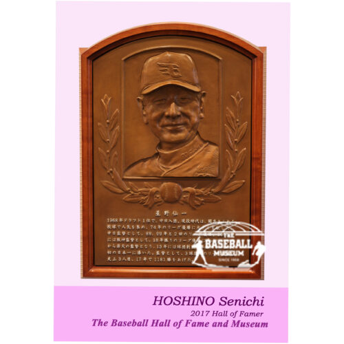 sp-postcard-hoshino