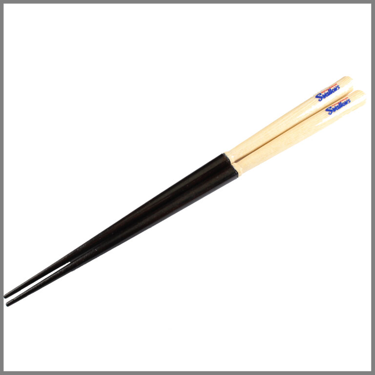 sp-hashilogo-20s