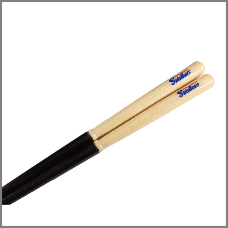 sp-hashilogo-20s